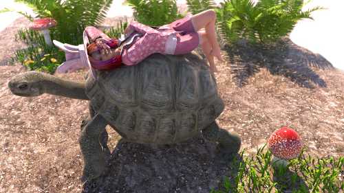 Hare and the Tortoise